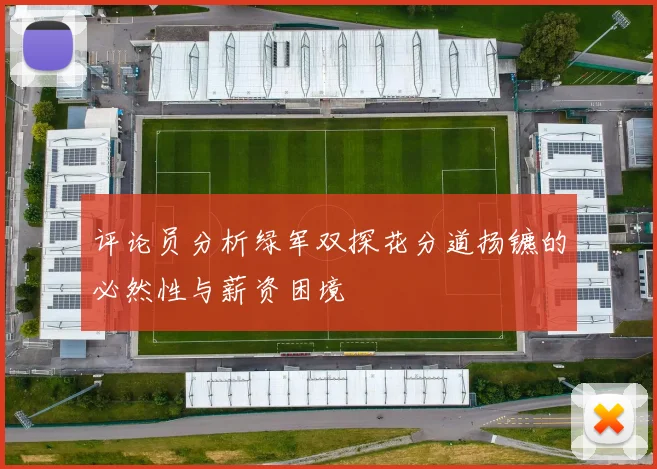 评论员分析绿军双探花分道扬镳的必然性与薪资困境